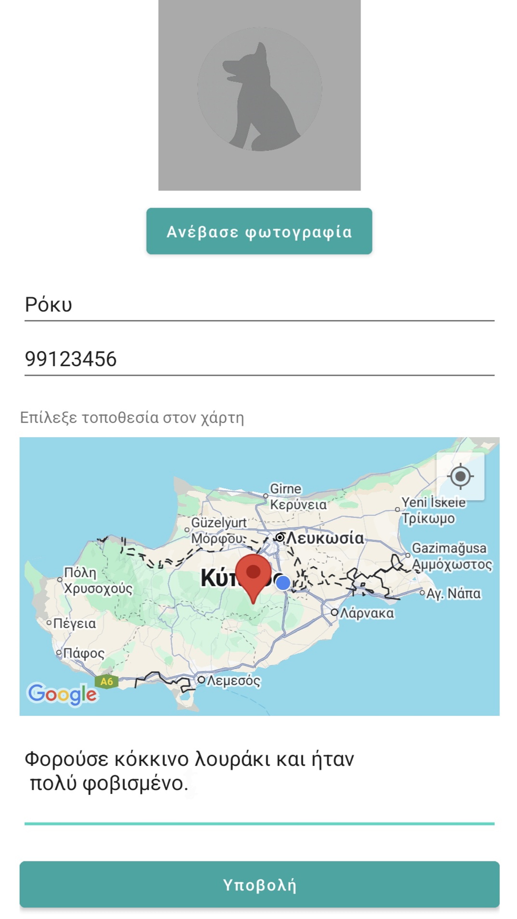 Φόρμα καταχώρησης χαμένου